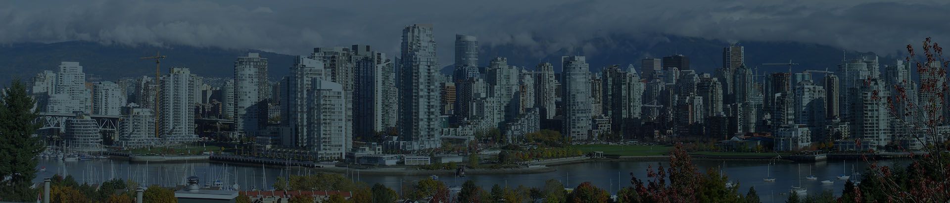 Velvetech Named a Leading Marketing Automation Company by Clutch.co