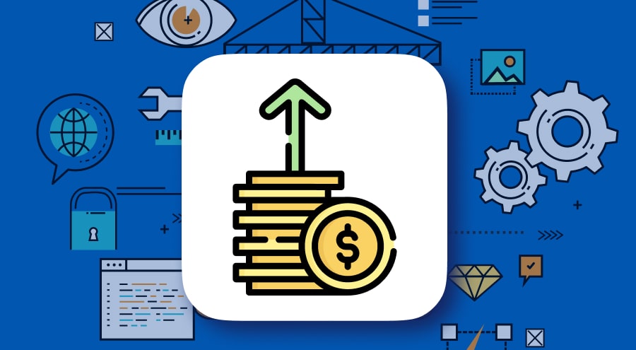 Cost-Effectiveness of Custom Software