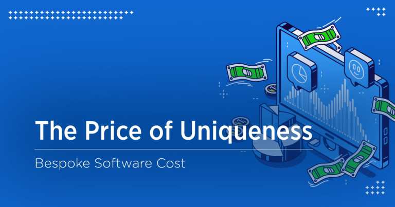 How Much Does It Cost To Develop Custom Software