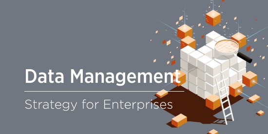 Key Elements of a Successful Enterprise Data Management Strategy