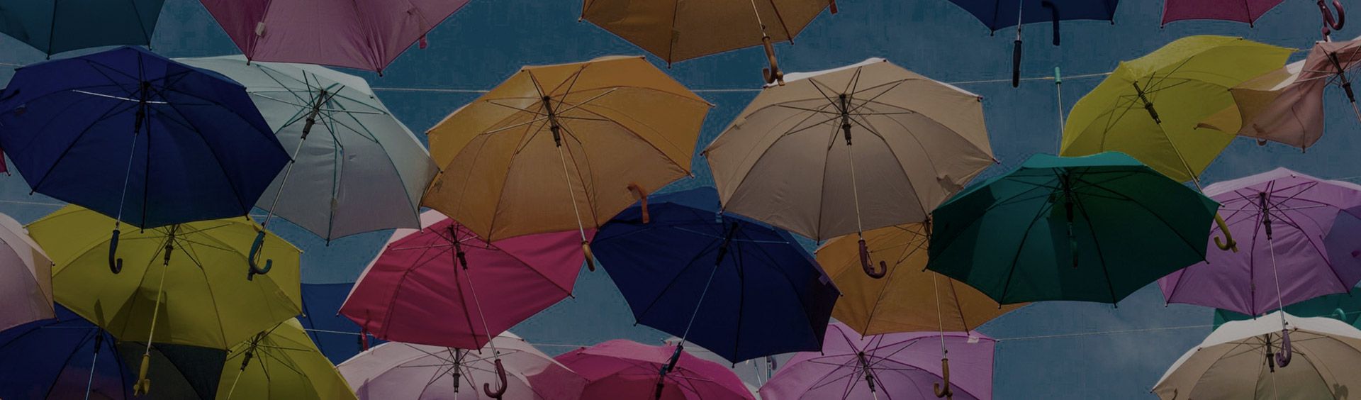 Challenges of Building Software for the Insurance Industry