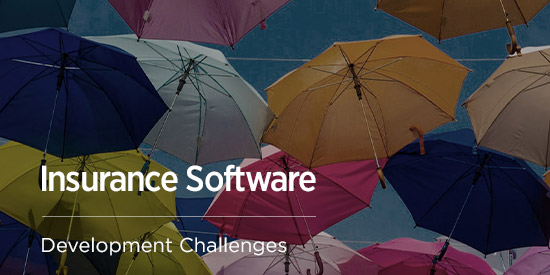 Challenges of Building Software for the Insurance Industry