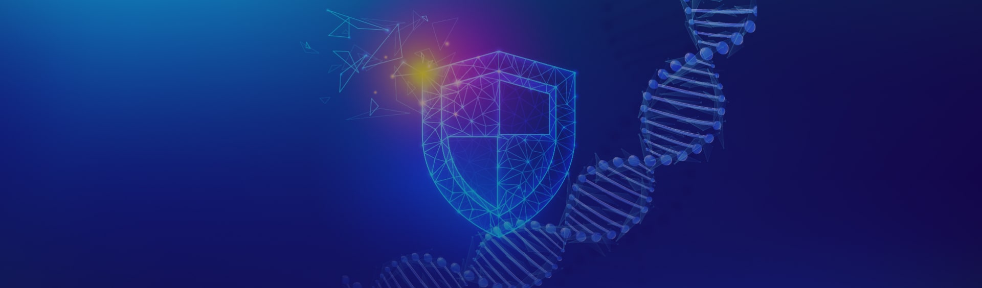 Blockchain-Based Intrusion Detection System for Cybersecurity Healthcare Startup