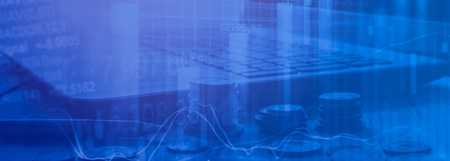 Investment Software Development Services