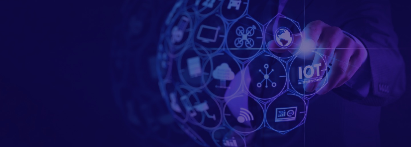 Custom IoT Development Services & Software Solutions