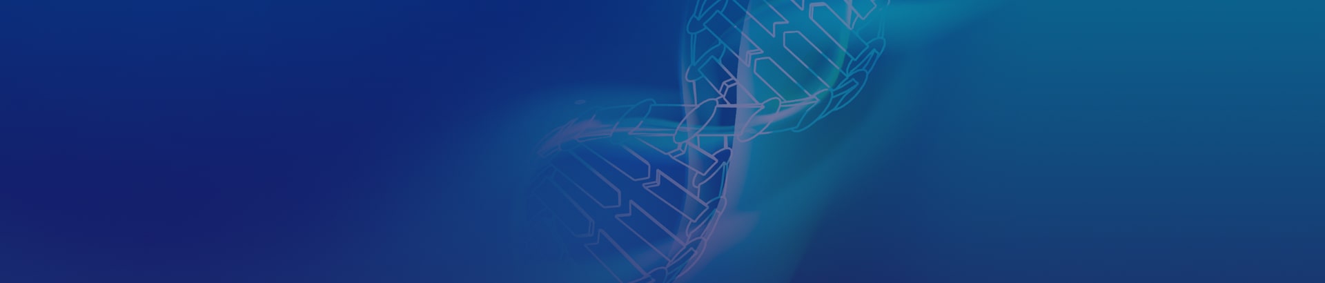 Medical Website Development: Best Practices For Healthcare Experts