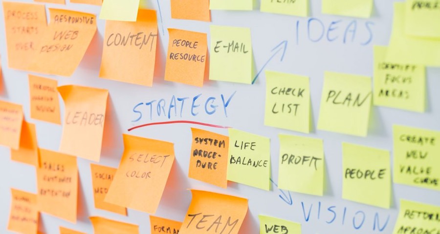 Web Development Process: Research and Discovery