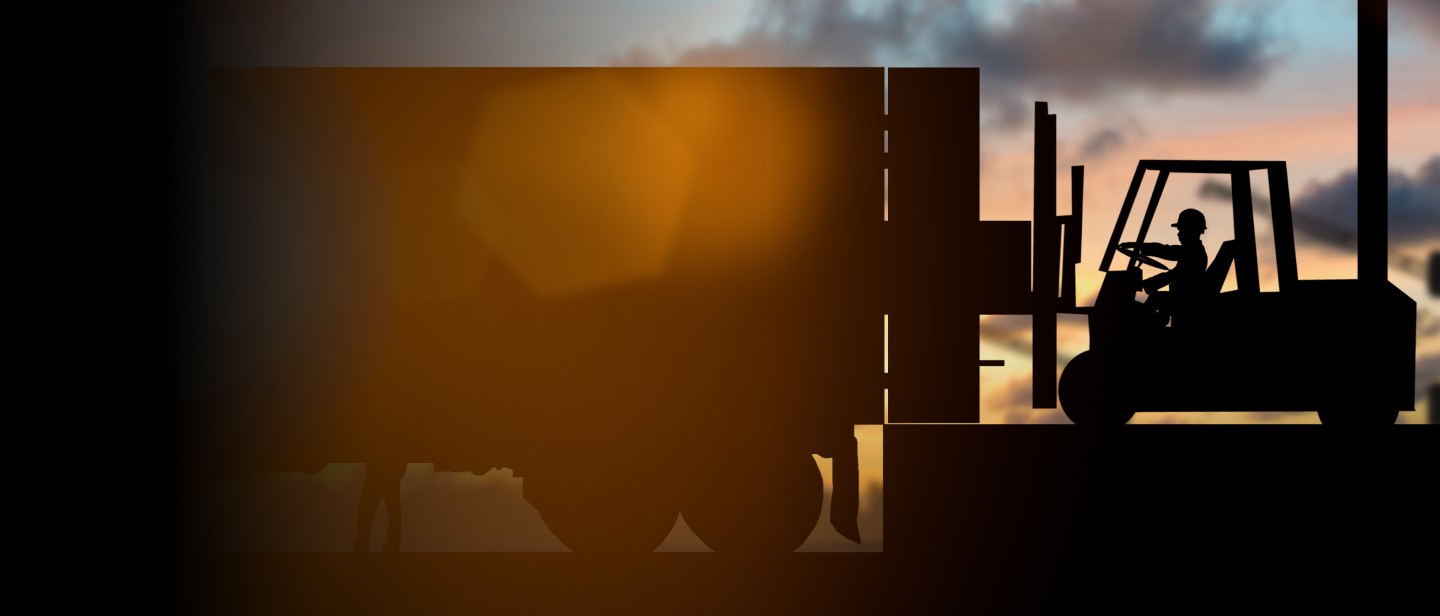 BI Solution for a Logistics Company