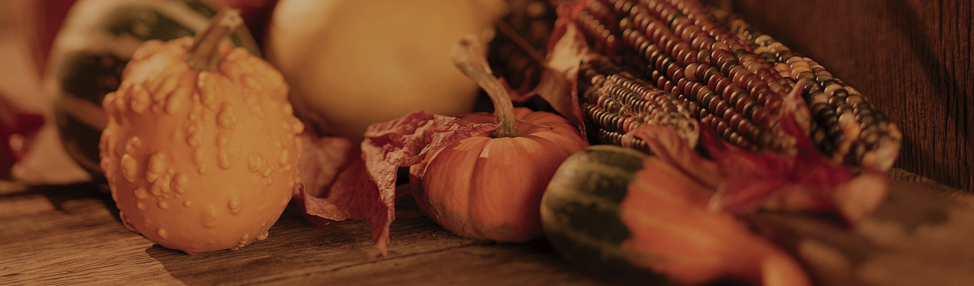 6 Things We Are Thankful For This Thanksgiving