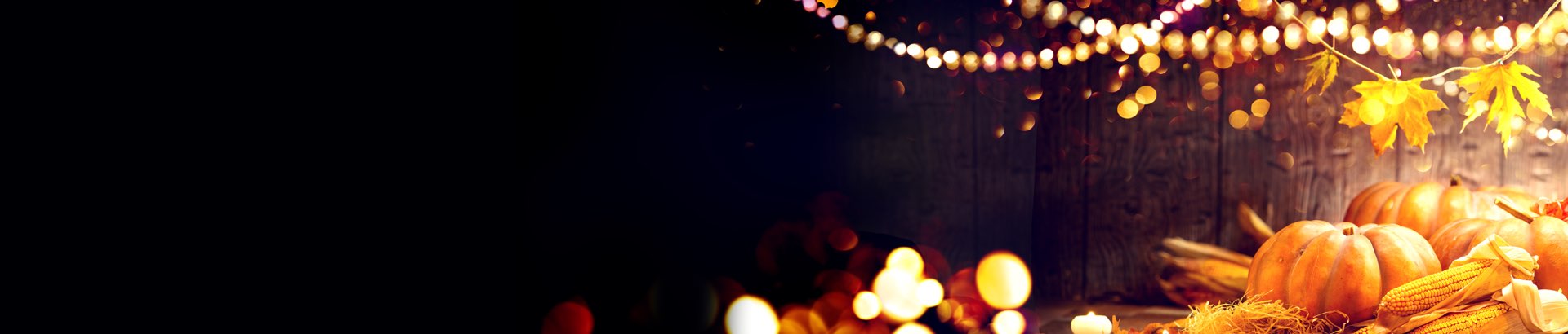 Celebrating Thanksgiving 2019: Velvetech Sends Joyful Wishes