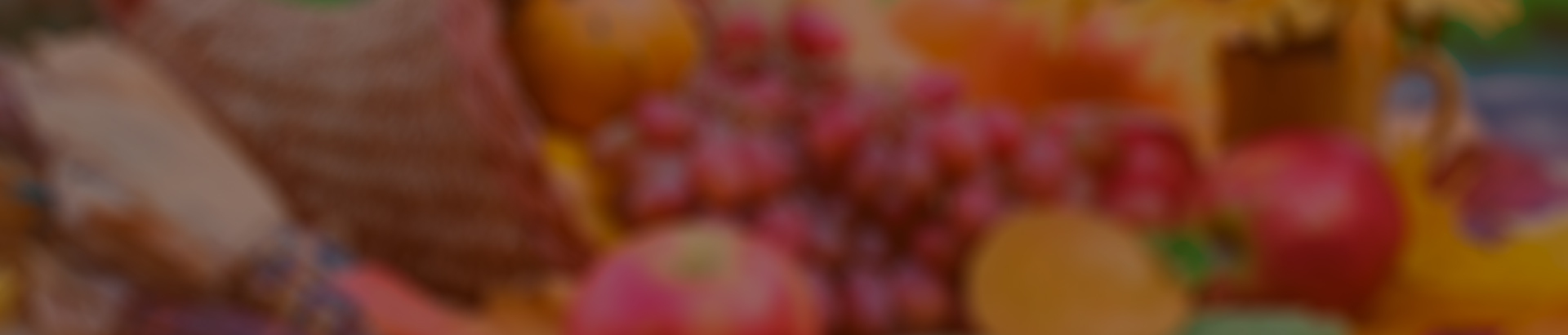 Thanksgiving Greetings from Velvetech in 2016