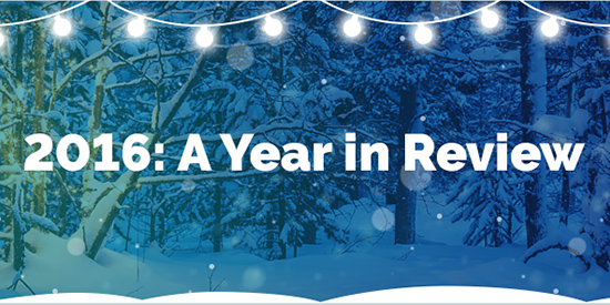 2016 Velvetech Recap: Facts and Achievements