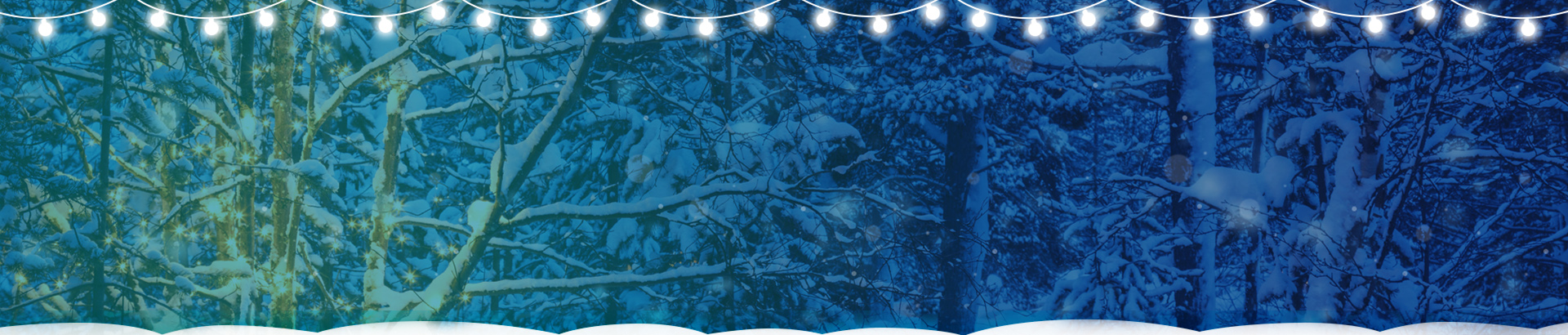 2016 Velvetech Recap: Facts and Achievements