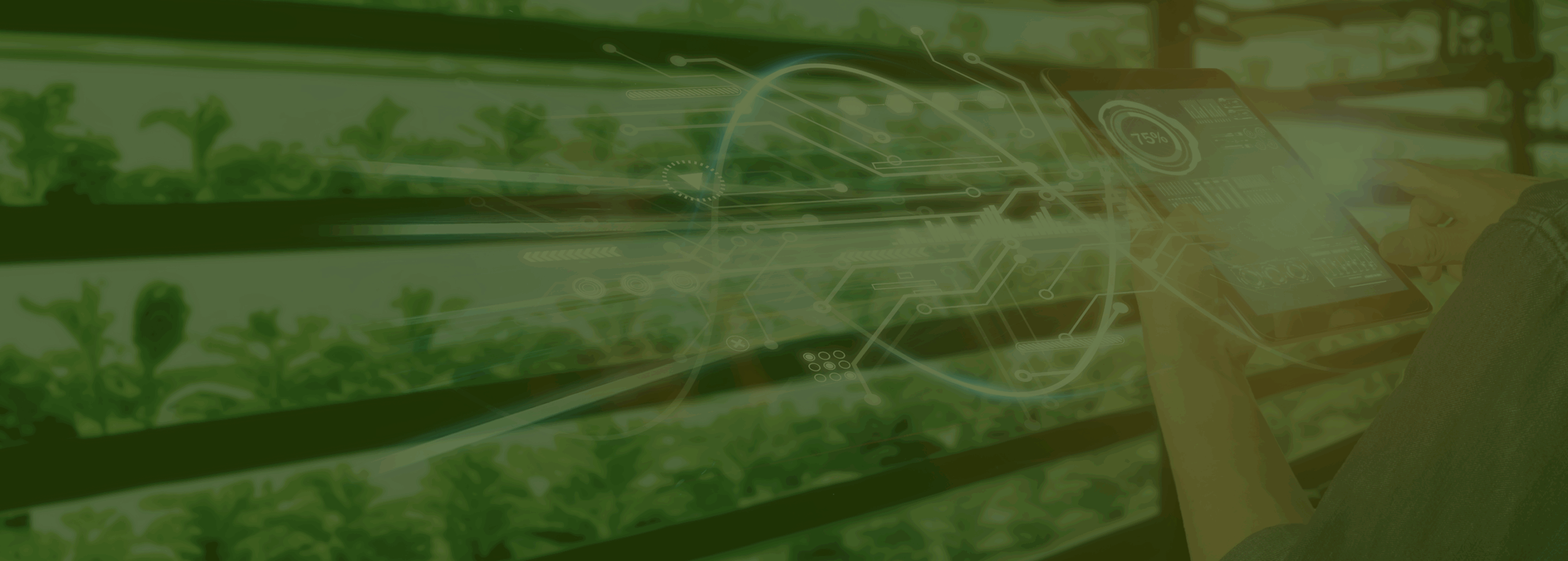 Agriculture Software Development Services