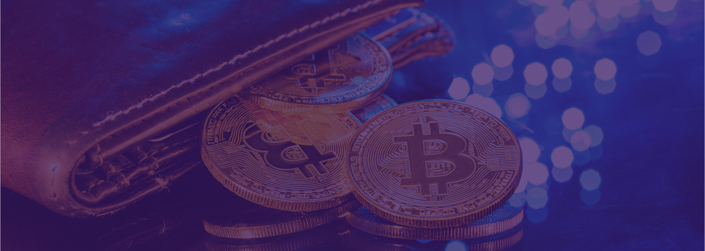 Cryptocurrency Wallet Development Services