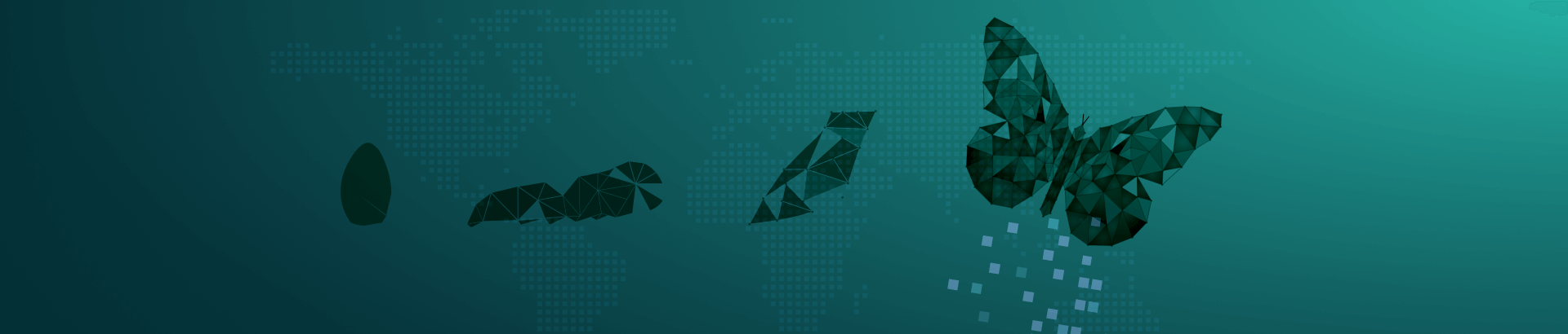 Data Transformation Process for Ultimate Clarity