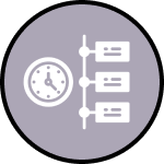 Development Timeline