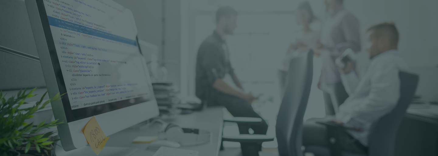 Enterprise Software Development Services