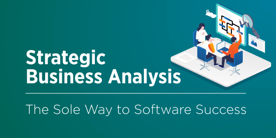 Strategic Business Analysis in Software Projects