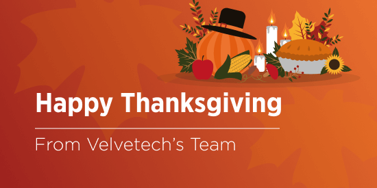 Thanksgiving Gratitudes from Velvetech’s Team