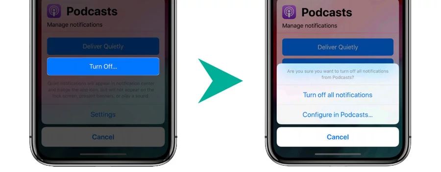 iOS 12 Notifications Settings Integration